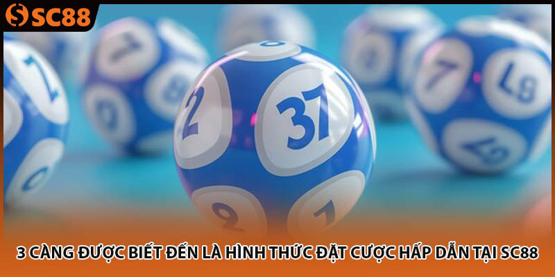 3 càng được biết đến là hình thức đặt cược hấp dẫn tại SC88